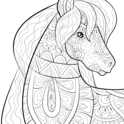 PONY colouring-in page