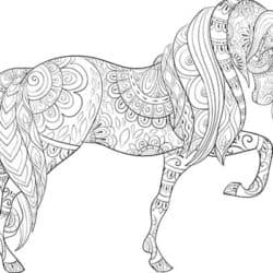 Pony colouring page