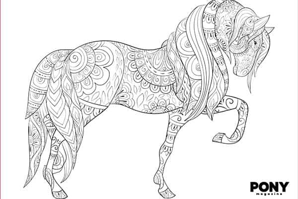 Pony colouring page