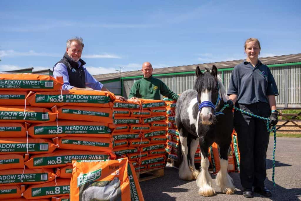 Baileys donates feed to World Horse Welfare