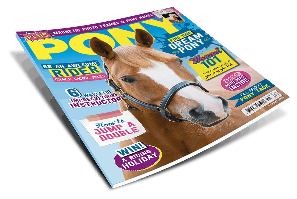 August PONY Magazine