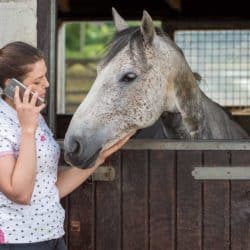 Girl on phone with pony