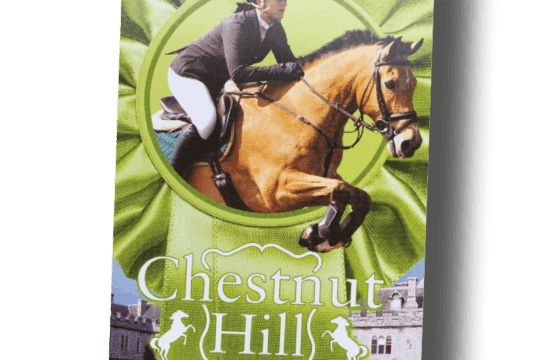 Chestnut Hill: A Time to Remember by Lauren Brooke