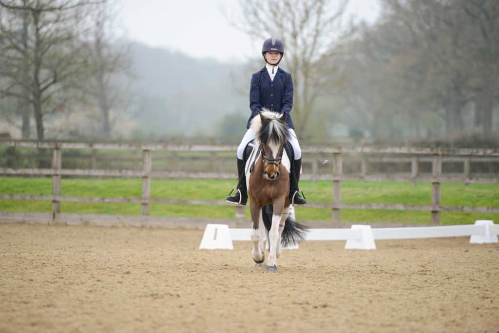 Pony competing in dressage