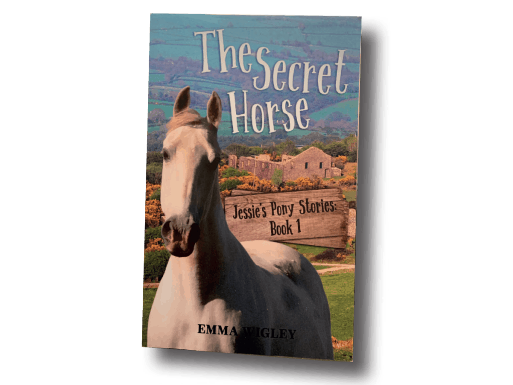 The Secret Horse book
