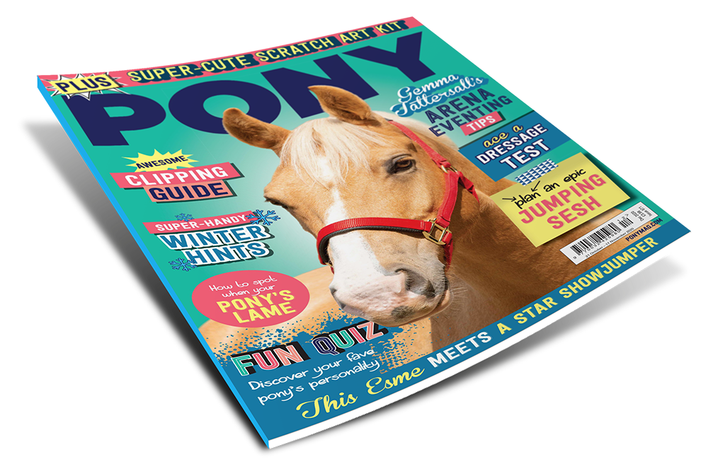 PONY Magazine December 2020