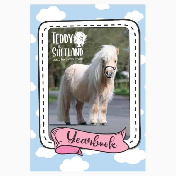 Teddy The Shetland Yearbook