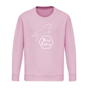 This Esme pale pink sweatshirt