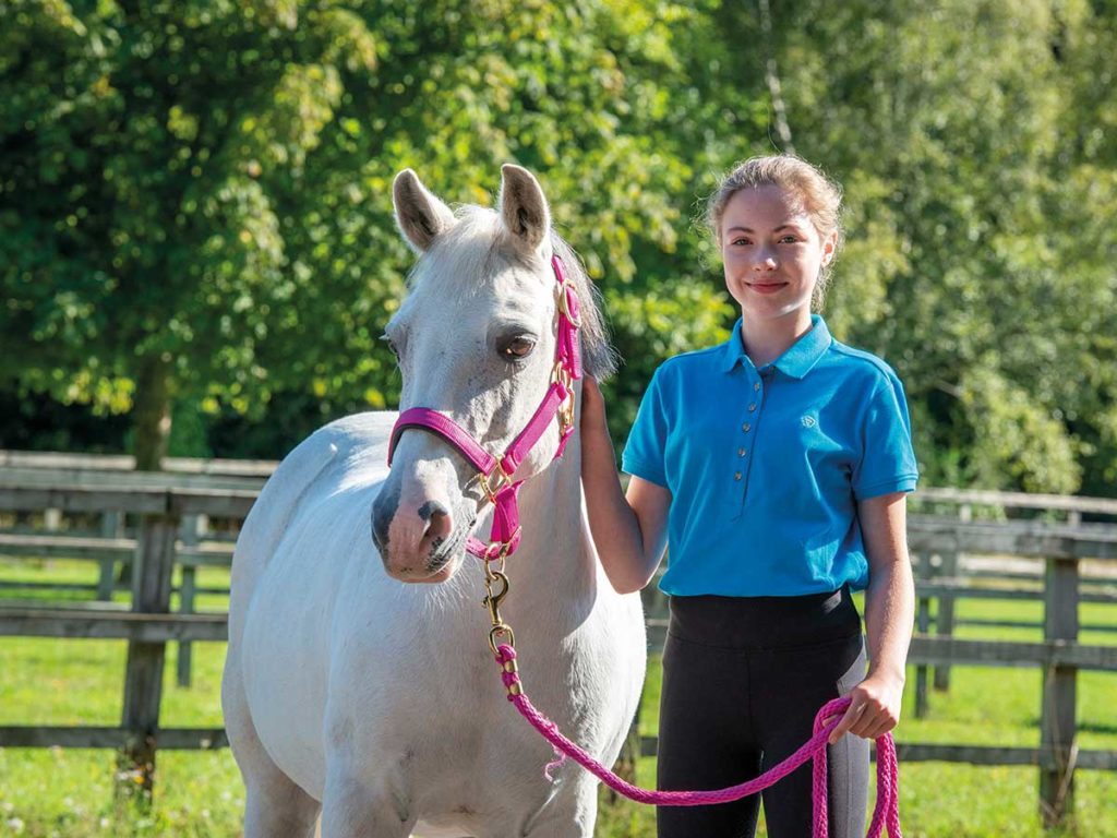 Everything You Need To Know About Ponies And Their Care - Pethelpful