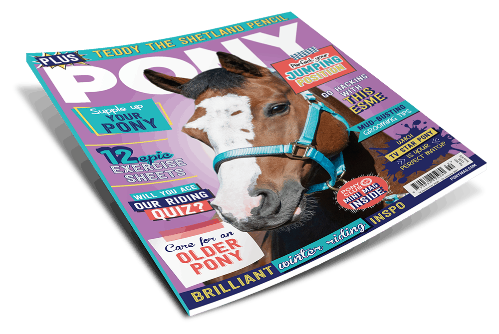 PONY Magazine - February 2021