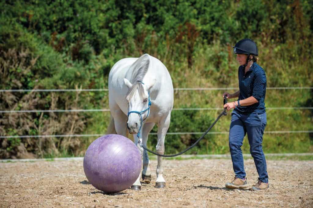 Emma Massingale etching her pony to push a ball