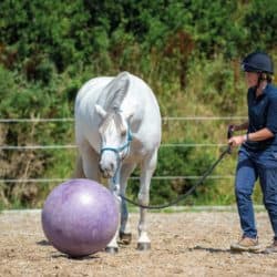Emma Massingale etching her pony to push a ball