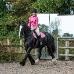 Pony riding suppling exercises
