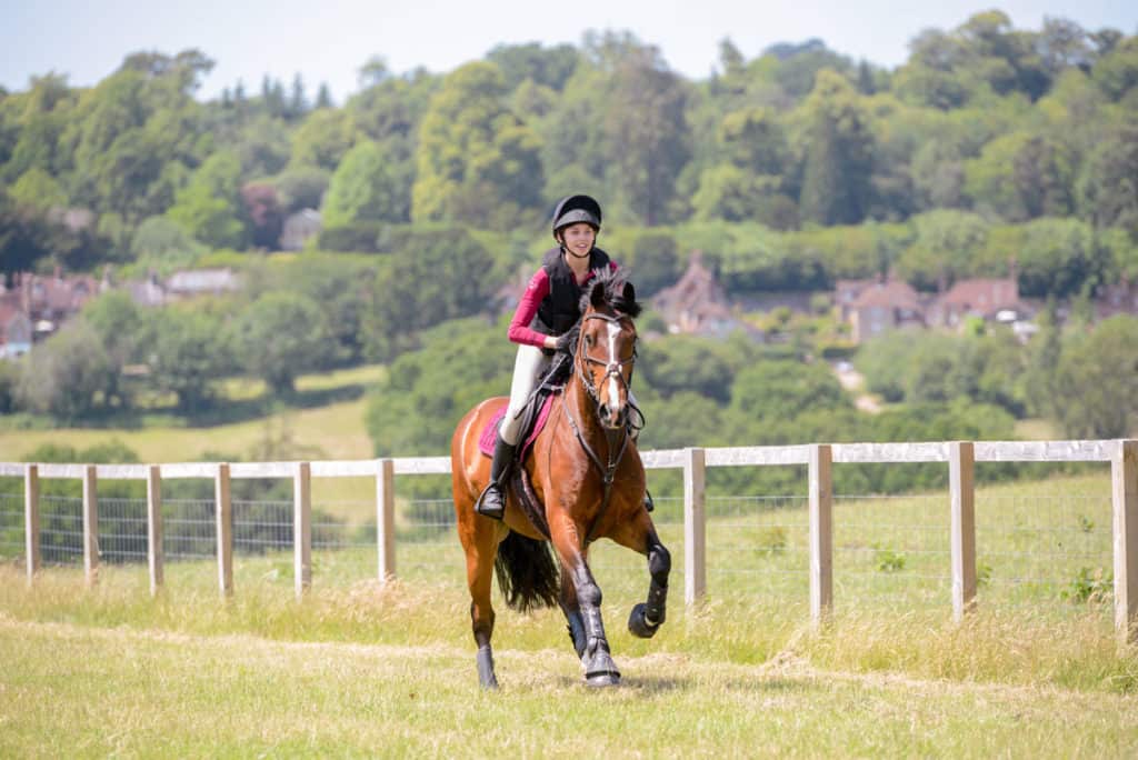 Galloping pony