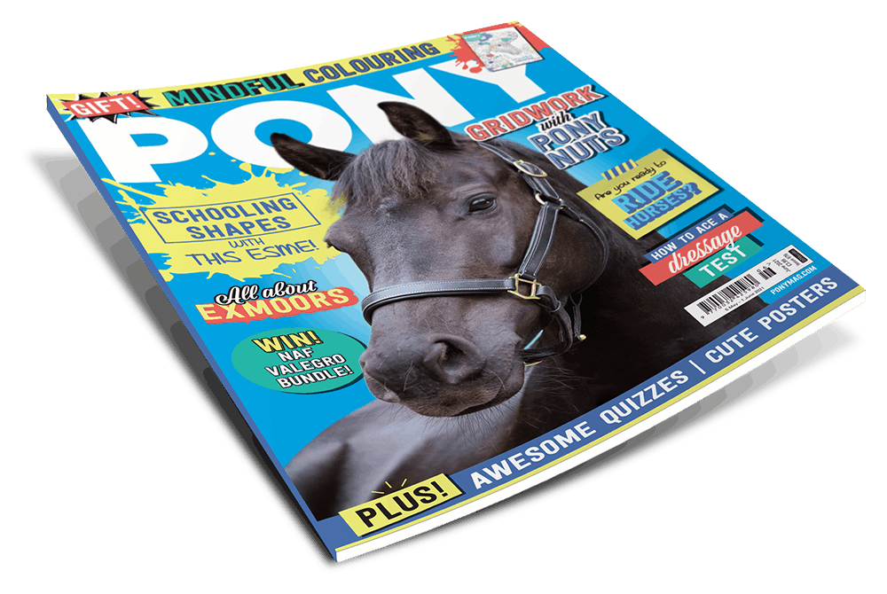 PONY Magazine - June 2021