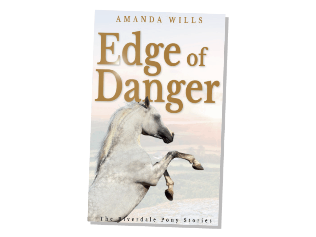 Amanda Wills, The Edge of Reason