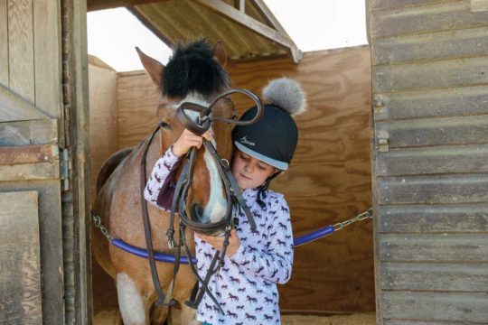 Girl bridling a pony