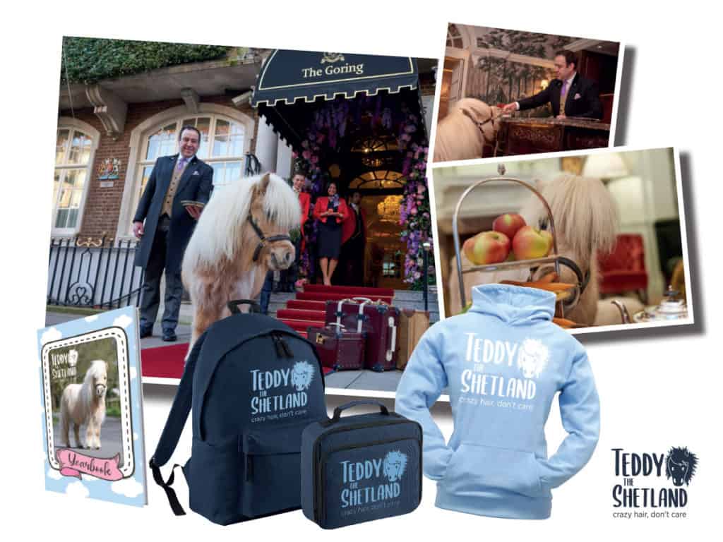 afternoon tea with Teddy the Shetland at the Goring Hotel, plus a Teddy prize bundle