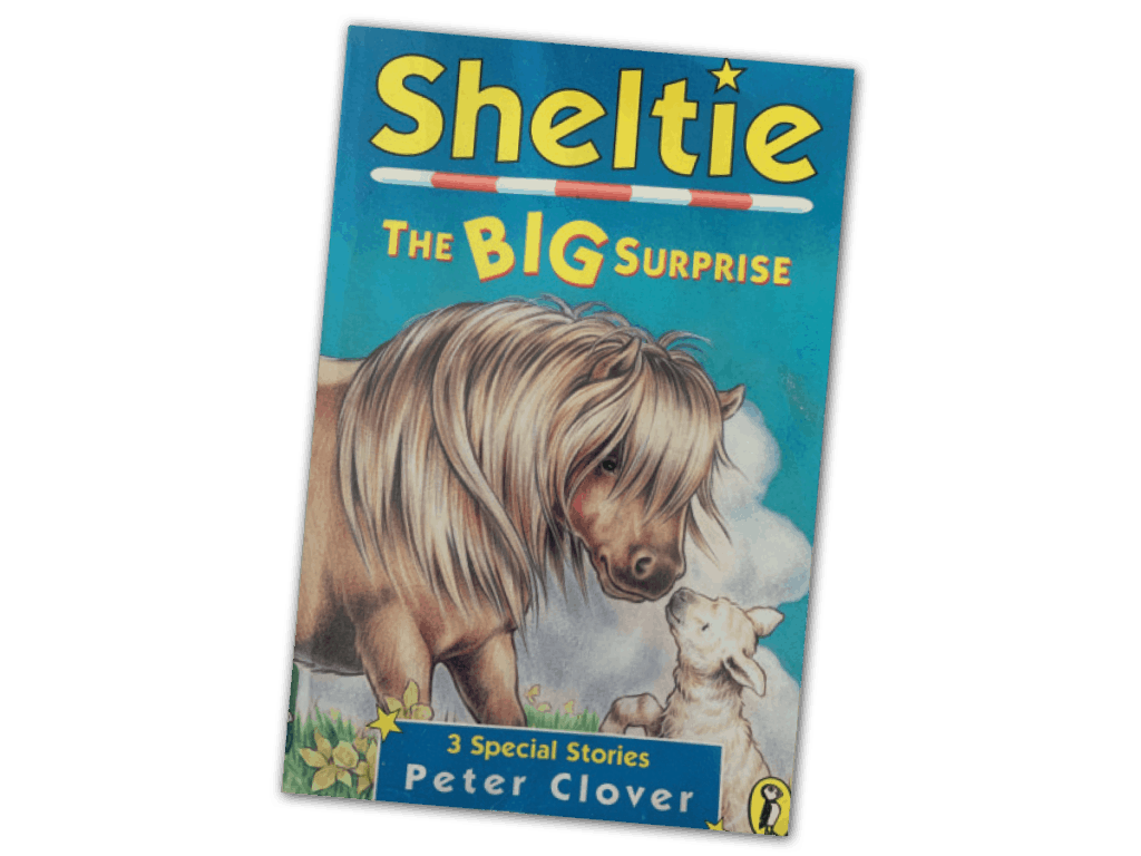 Sheltie: The Big Surprise