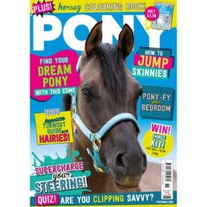 PONY Magazine - November 2021