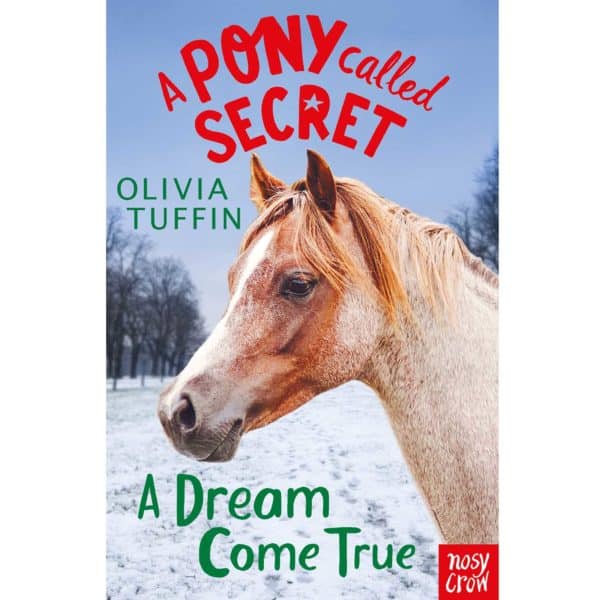 A Pony Called Secret: A Dream Come True