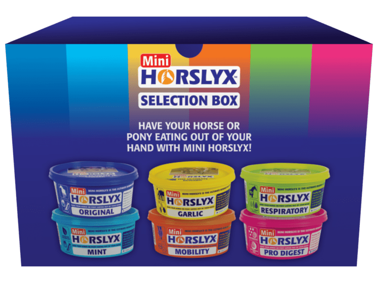 Mini-Horslyx-Selection-Box
