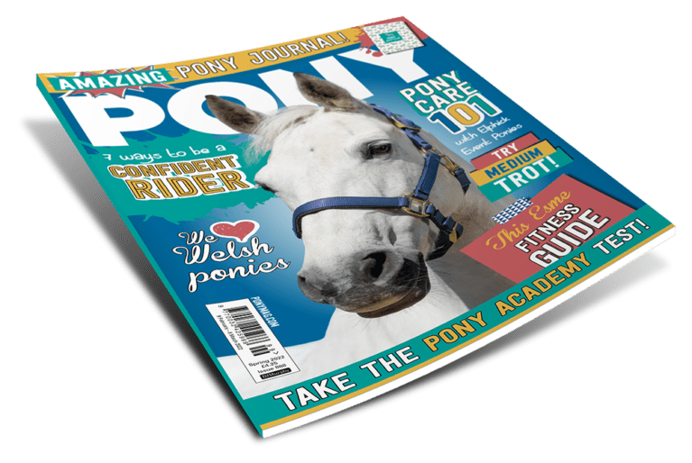 Spring PONY Magazine