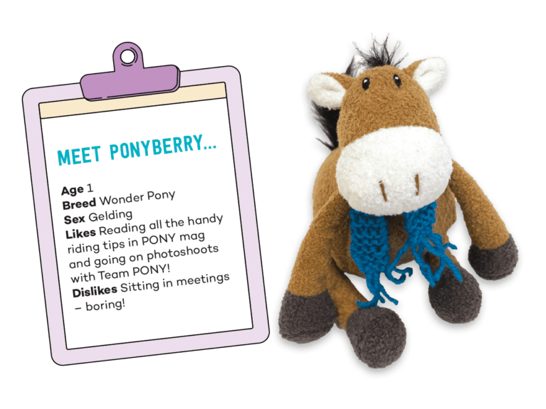 Meet Ponyberry