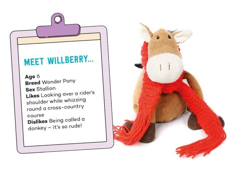 Willberry Wonder Pony