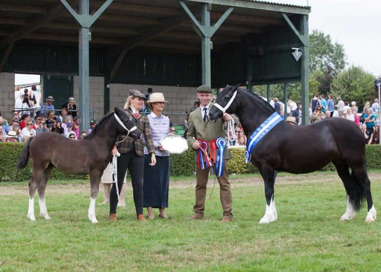 Great-yorkshire-show-2018-cuddly-supreme-in-hand-championships