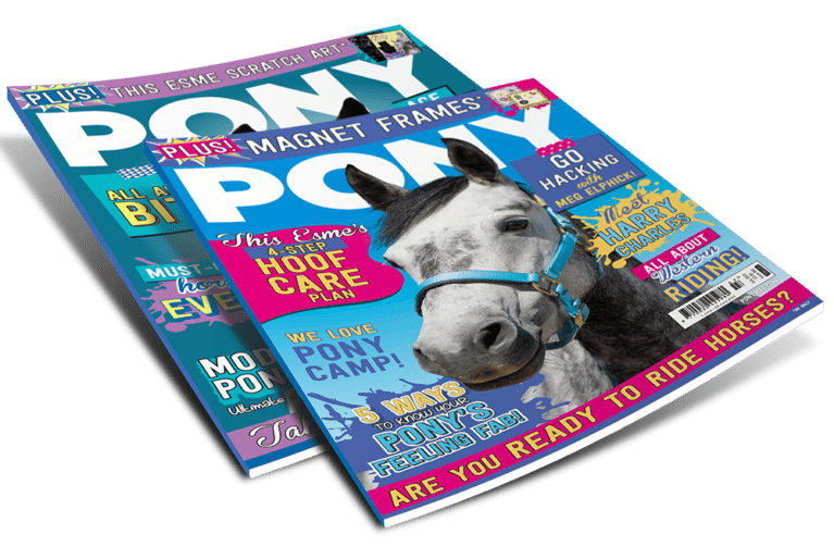 PONY magazine subscription
