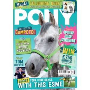 PONY Magazine November 2022