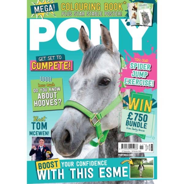 PONY Magazine November 2022