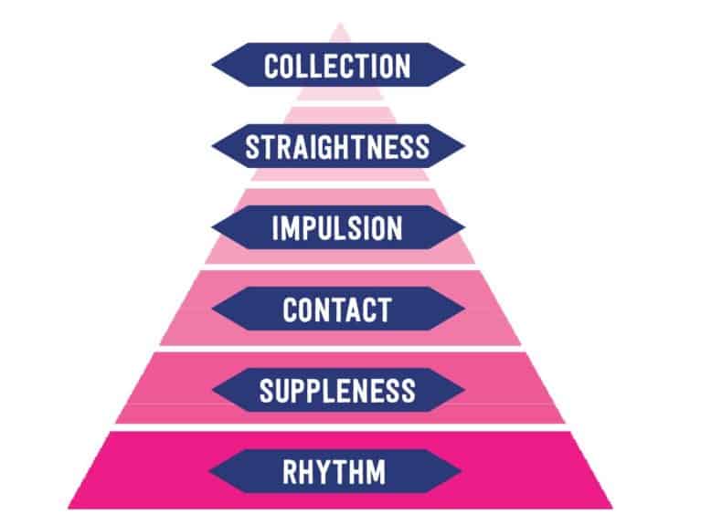 Scales-of-training-pyramid