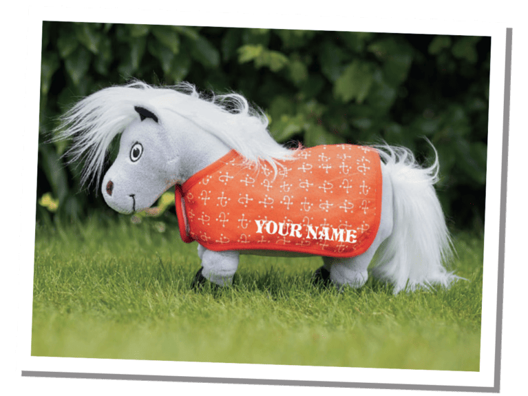 Horses-with-Attitude-Tarquin-the-Thelwell-Pony