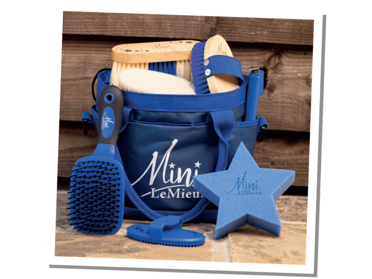 LeMieux-Mini-Grooming-kit
