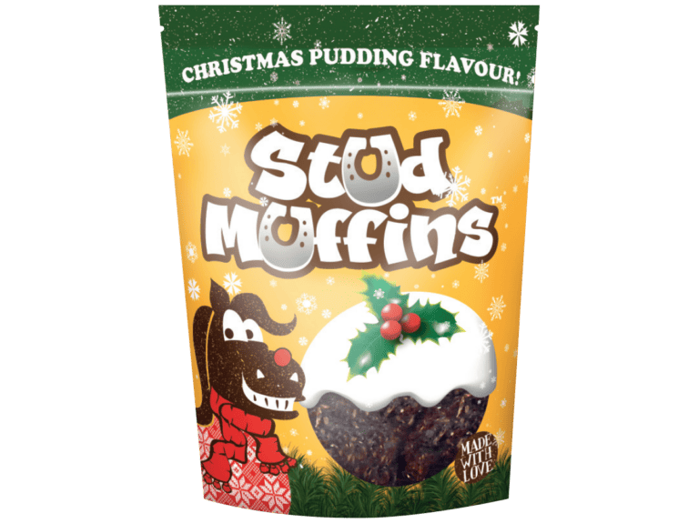 Stud-muffins-Christmas-pudding