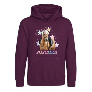 Popcorn plum hoodie