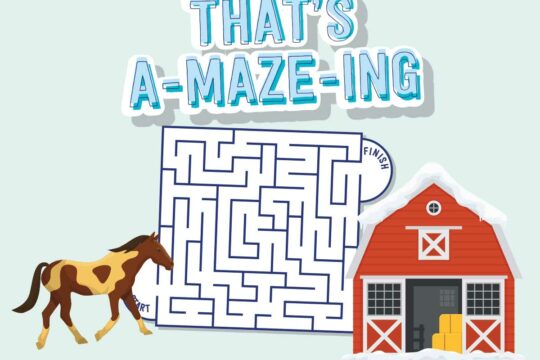 Pony maze game
