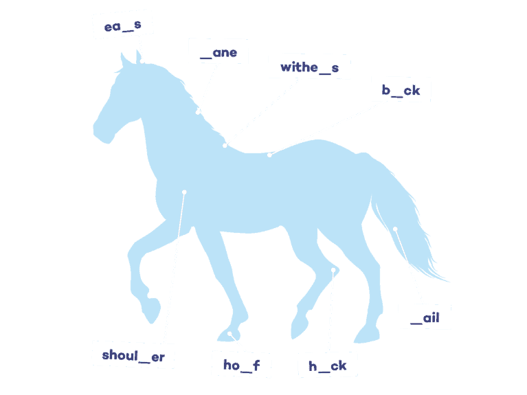 What's the breed letter puzzle