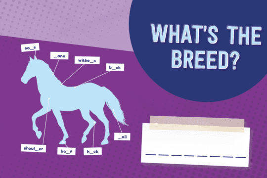 What's the breed word puzzle
