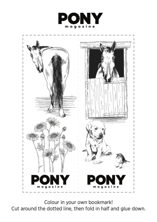 PONY Book mark download and colour