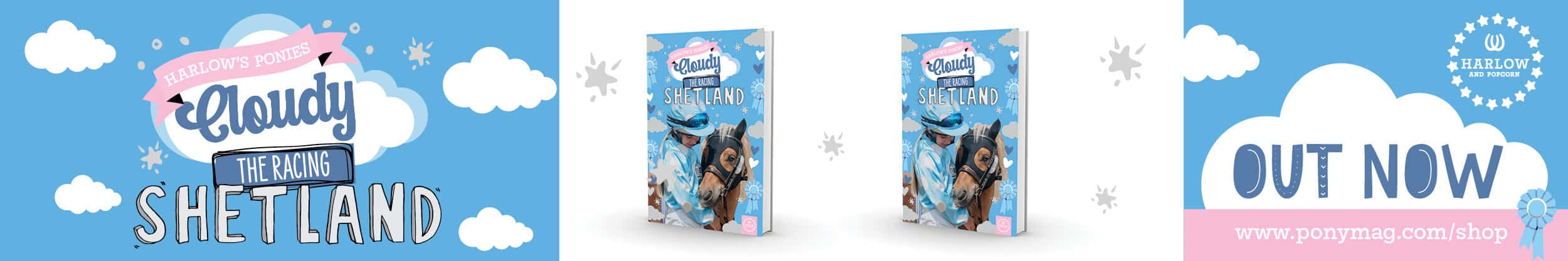 Harlow's ponies: Cloudy the Racing Shetland book