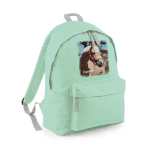 Harlow Popcorn mint backpack