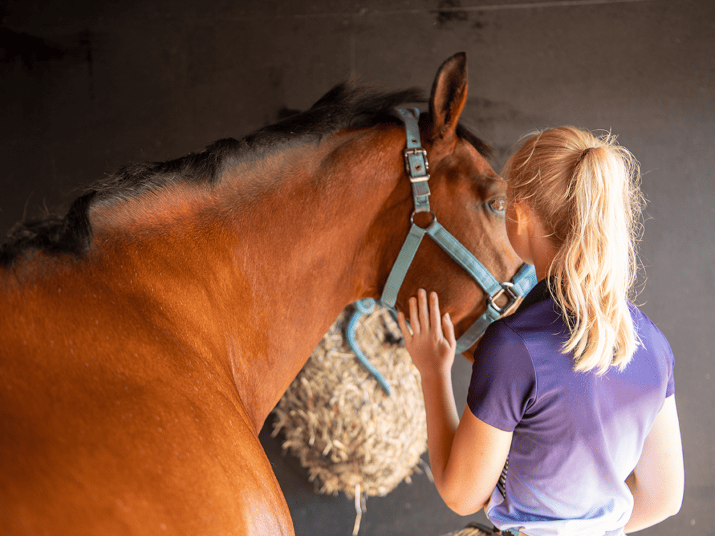10-things-to-do-with-your-pony-on-the-ground
