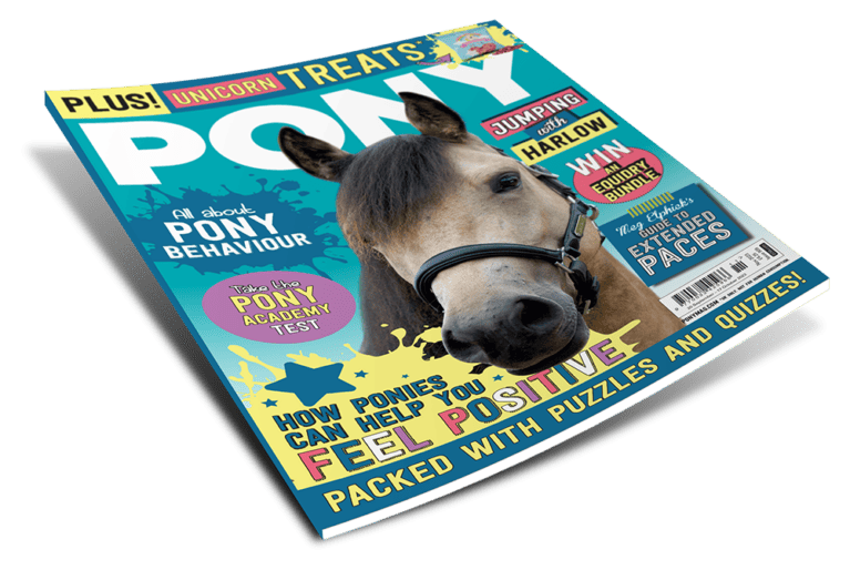 PONY Magazine November 2023