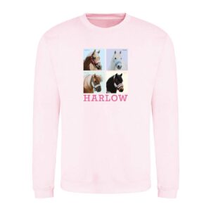 Harlow sweatshirt