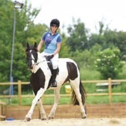 10 minute flatwork exercise