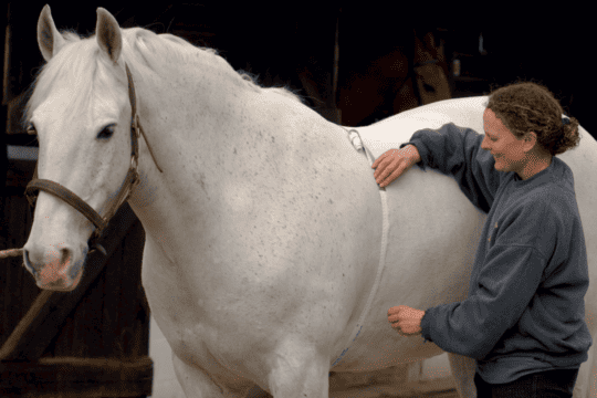 fat-pony-myth-busting