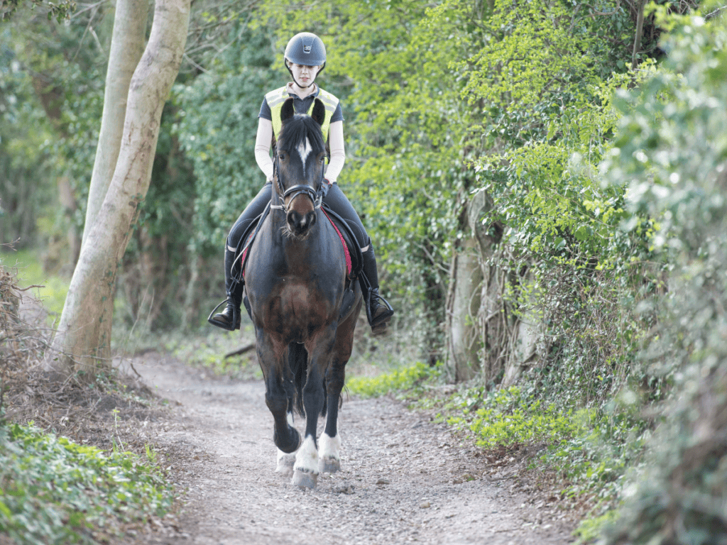 Work-on-your-dressage-out-hacking